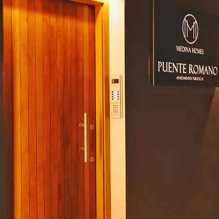 Medina Homes Puente