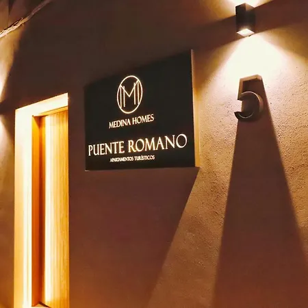 Medina Homes Puente 4*